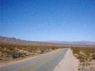 cottonwood springs, oasis, desert vegetation, photos, fan palm, joshu tree national park, joshua tree national monument, historical site, winona mill, stamp mill, gold mine