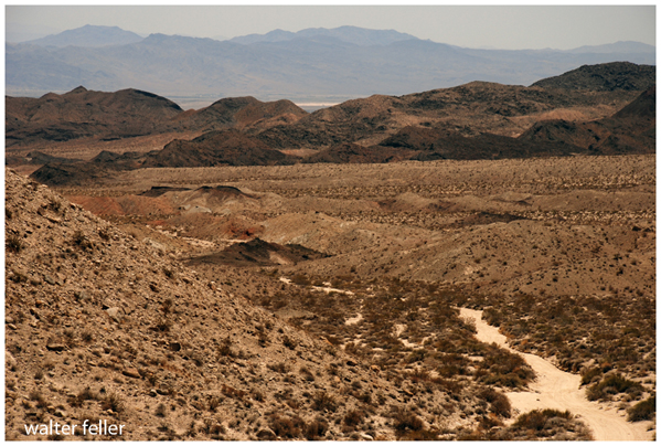 Old Spanish Trail in Spanish Canyon, Mojave Desert